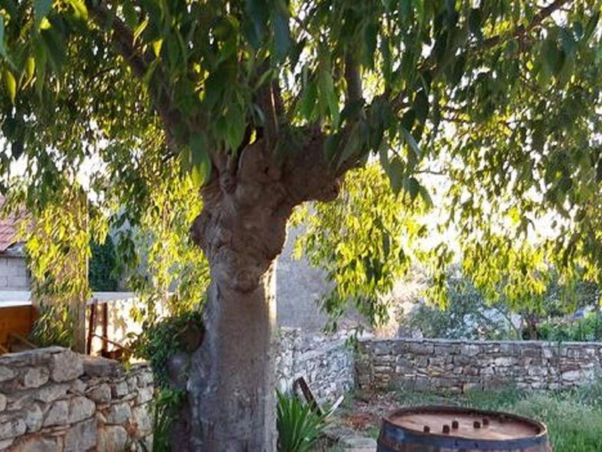 Chic Holiday Home In Marina With Private Swimming Pool エクステリア 写真